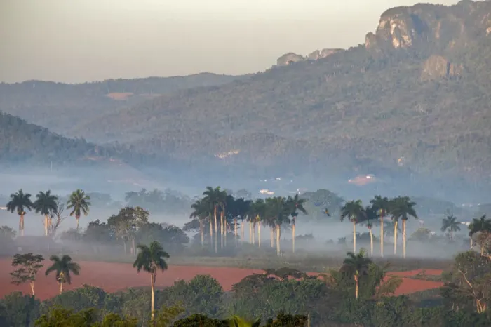 Framed Print : Morning fog rises from the palm tree lined Vinales Valley, Cuba
