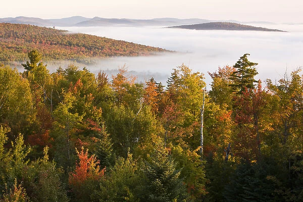 Morning fog as seen from the fire tower at Milan Hill State Park in Milan, New Hampshire