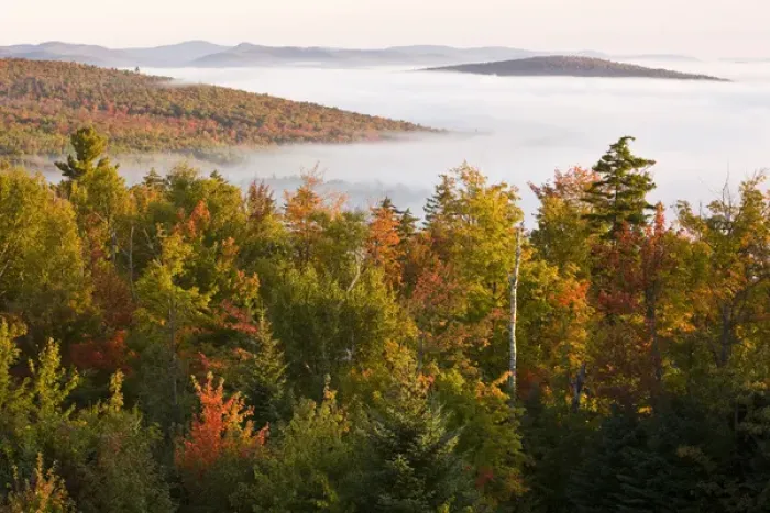 Framed Print : Morning fog as seen from the fire tower at Milan Hill State Park in Milan, New Hampshire Framed Print : Morning fog as seen from the fire tower at Milan Hill State Park in Milan, New Hampshire