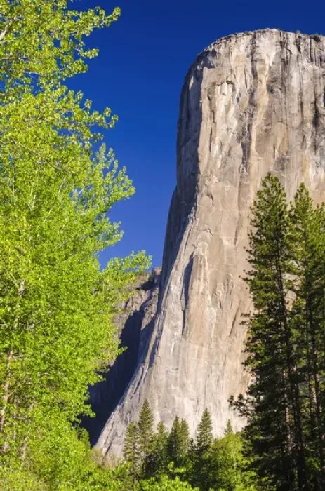 Framed Print : Morning light on El Capitan, Yosemite National Park, California USA Framed Print : Morning light on El Capitan, Yosemite National Park, California USA