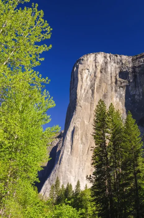 Framed Print : Morning light on El Capitan, Yosemite National Park, California, USA Framed Print : Morning light on El Capitan, Yosemite National Park, California, USA
