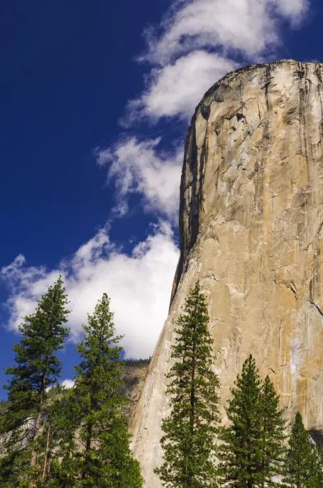 Framed Print : Morning light on El Capitan, Yosemite National Park, California Framed Print : Morning light on El Capitan, Yosemite National Park, California