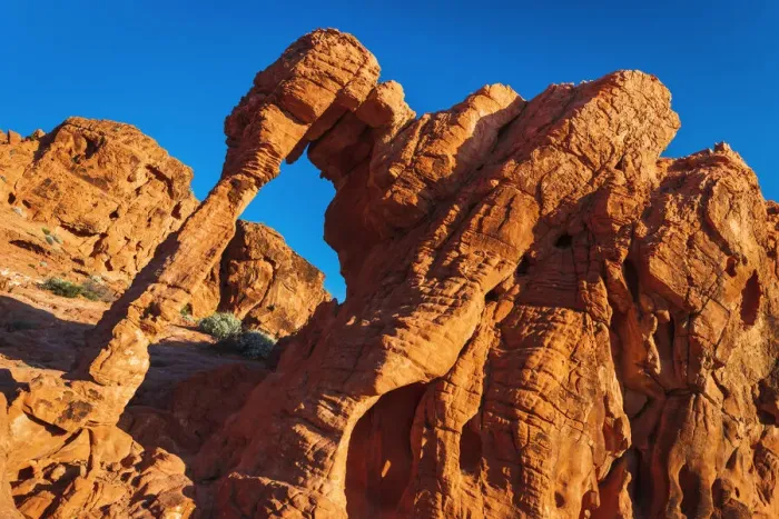 Framed Print : Morning light on Elephant Rock, Valley of Fire State Park, Nevada, USA Framed Print : Morning light on Elephant Rock, Valley of Fire State Park, Nevada, USA