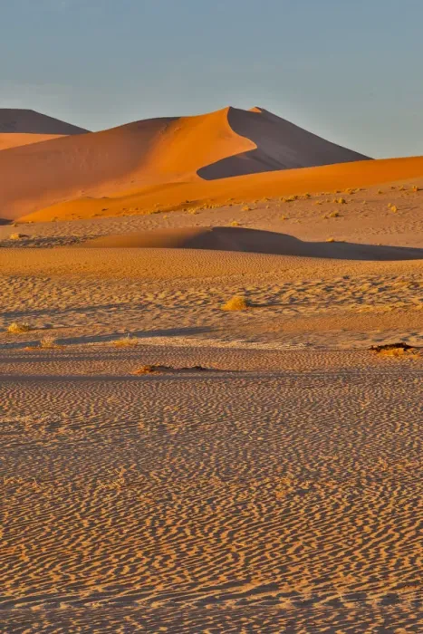 Framed Print : Morning light on the sand dunes of Sossusvlei, Namibia Framed Print : Morning light on the sand dunes of Sossusvlei, Namibia