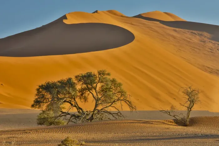 Framed Print : Morning light on the sand dunes of Sossusvlei, Namibia Framed Print : Morning light on the sand dunes of Sossusvlei, Namibia