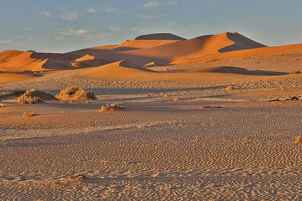 Morning light on the sand dunes of Sossusvlei, Namibia