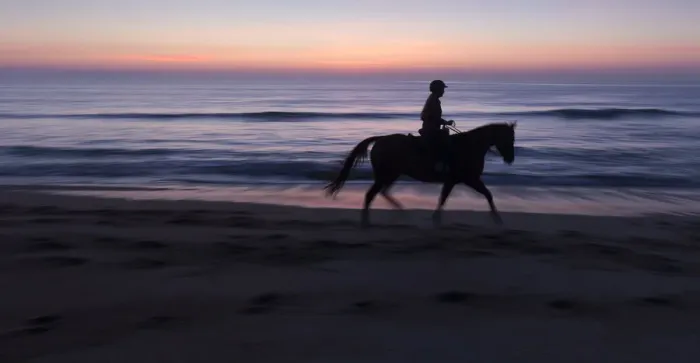 Framed Print : Morning ride, Vilano Beach, Florida, MR Framed Print : Morning ride, Vilano Beach, Florida, MR