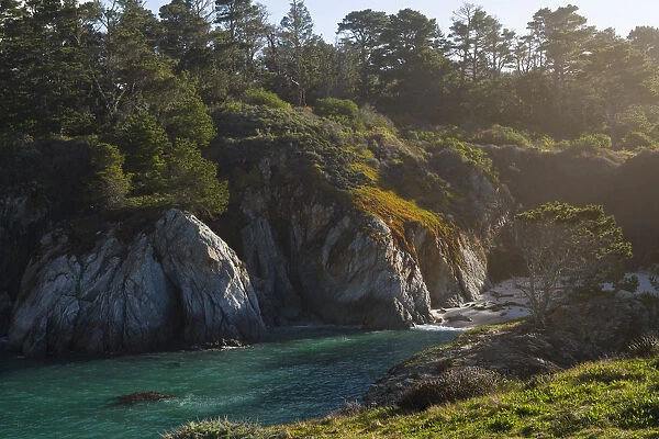 Morning sun filtering in through trees to a cove in Pt Lobos, California