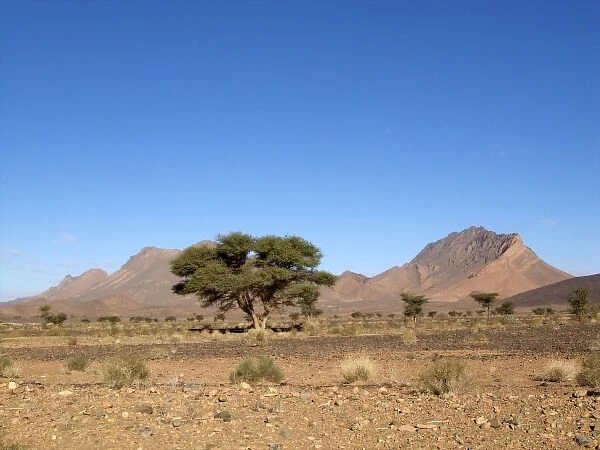 Moroccan desert landscape