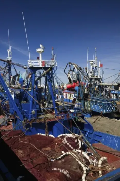 Framed Print : MOROCCO, Atlantic Coast, ESSAOUIRA: Fishing Fleet