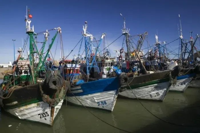 Framed Print : MOROCCO, Atlantic Coast, ESSAOUIRA: Fishing Port / Morning Framed Print : MOROCCO, Atlantic Coast, ESSAOUIRA: Fishing Port / Morning