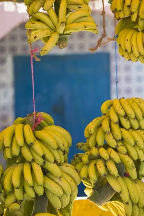 Framed Print : MOROCCO, Atlantic Coast, TAMRI: Local Bananas for Sale