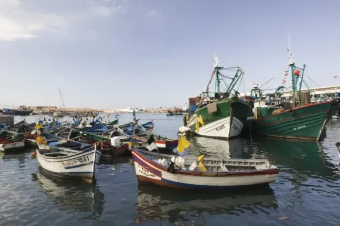 Framed Print : MOROCCO, Casablanca: Fishing Port, Port de Peche