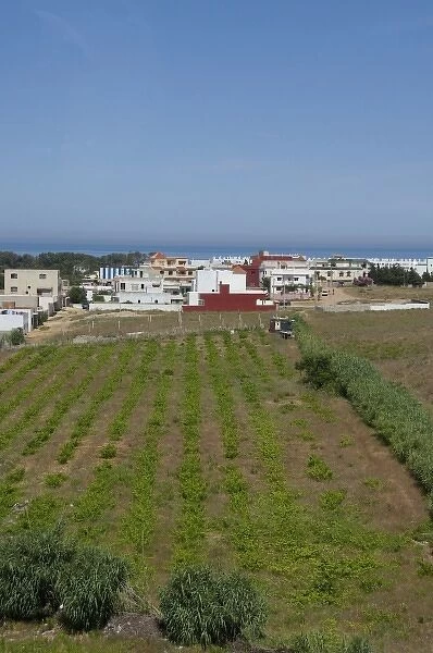 Morocco. Countryside farmland view of the Oued Martil valley located between Ceuta