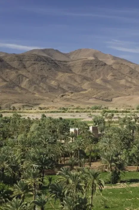 Framed Print : MOROCCO, Draa Valley, AGDZ: Draa River Valley Palm Grove
