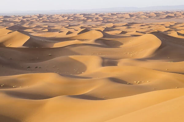 Morocco. Erg Chegaga (or Chigaga) is a Saharan sand dune (approximately 40 km to