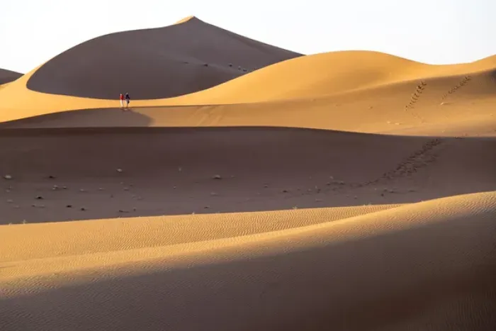 Framed Print : Morocco, Erg Chegaga (or Chigaga) is a Saharan sand dune (approximately 40 km to 15 km wide)