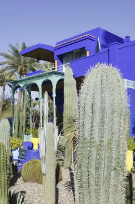 Framed Print : MOROCCO, MARRAKECH: Jardin Majorelle & Museum of Islamic Art (former villa of Jacques Majorelle