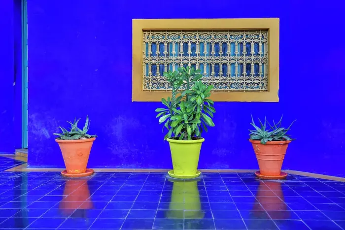 Framed Print : Morocco, Marrakech. Majorelle Garden (Jardin Majorelle) Framed Print : Morocco, Marrakech. Majorelle Garden (Jardin Majorelle)