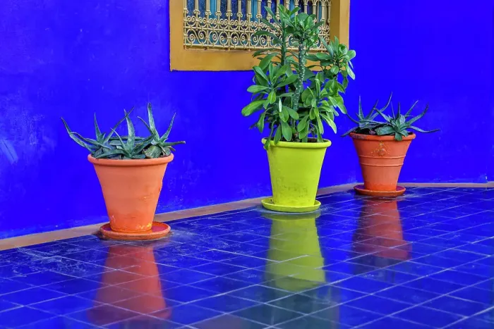 Framed Print : Morocco, Marrakech. Majorelle Garden (Jardin Majorelle) Framed Print : Morocco, Marrakech. Majorelle Garden (Jardin Majorelle)