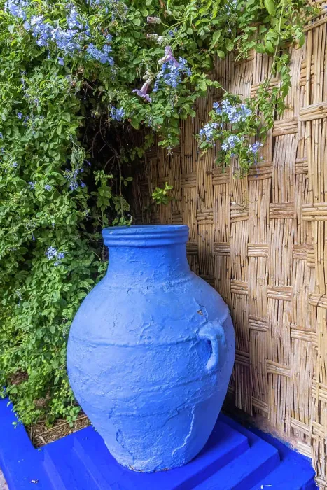 Framed Print : Morocco, Marrakech. Majorelle Garden (Jardin Majorelle)