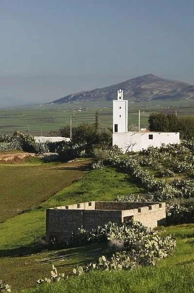 MOROCCO, Meknes (Area): Small Village Mosque & Farm