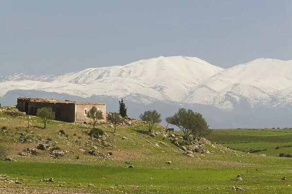 MOROCCO, Region Kandar et Sebou: Farmhouse and View of the Middle Atlas Mountains