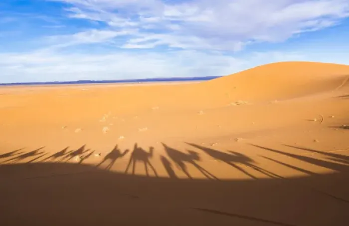 Framed Print : Morocco Sahara Desert sand dunes in Las Palmeras area with shadows of tourists riding Framed Print : Morocco Sahara Desert sand dunes in Las Palmeras area with shadows of tourists riding