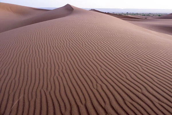 Morocco. Sunrise over Erg Chegaga (or Chigaga) is a Saharan sand dune (approximately