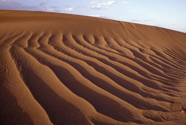 Morocco, Tinfou (near Zagora), Sand dunes, deeply furrowed by strong winds in the