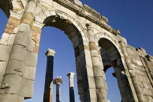 MOROCCO, Volubilis: Roman Town mostly dating to 2nd & 3rd c. AD  /  Abandoned by Romans