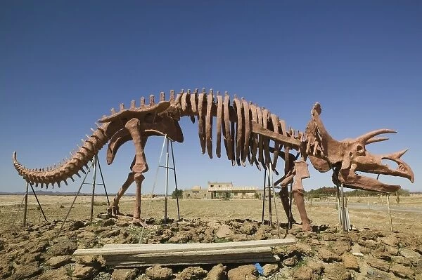 MOROCCO, Ziz Valley, ERFOUD: Dinousaur Museum  /  Skeleton