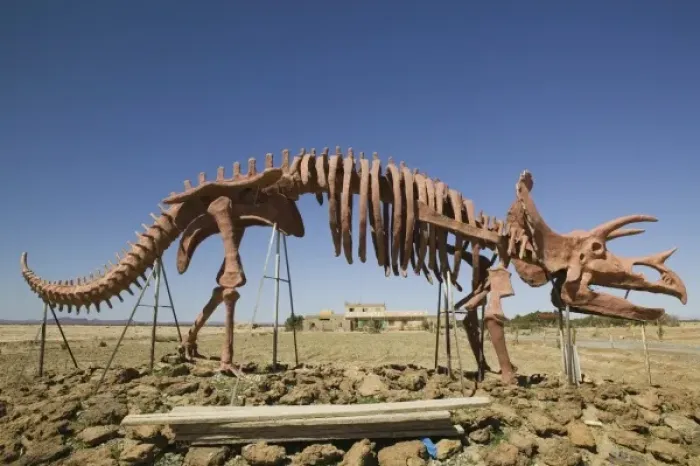 Framed Print : MOROCCO, Ziz Valley, ERFOUD: Dinousaur Museum / Skeleton Framed Print : MOROCCO, Ziz Valley, ERFOUD: Dinousaur Museum / Skeleton