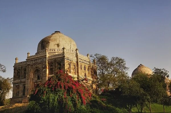 Mosque of Sheesh Gumbad, Lodhi Gardens, New Delhi, India