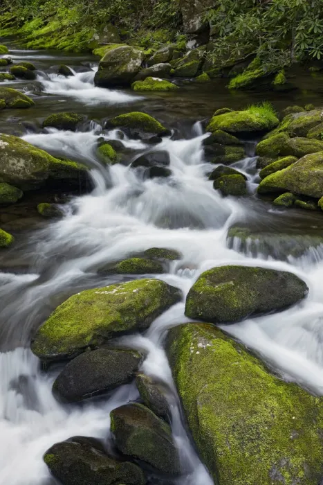 Framed Print : Moss covered boulders and flowing stream, Little Pigeon River, Great Smoky Mountains Framed Print : Moss covered boulders and flowing stream, Little Pigeon River, Great Smoky Mountains
