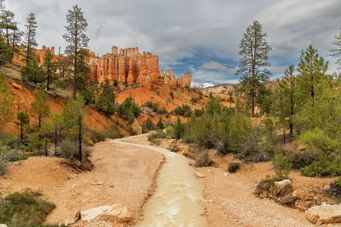 Framed Print : Mossy Cave, Bryce Canyon National Park, Utah, US Framed Print : Mossy Cave, Bryce Canyon National Park, Utah, US