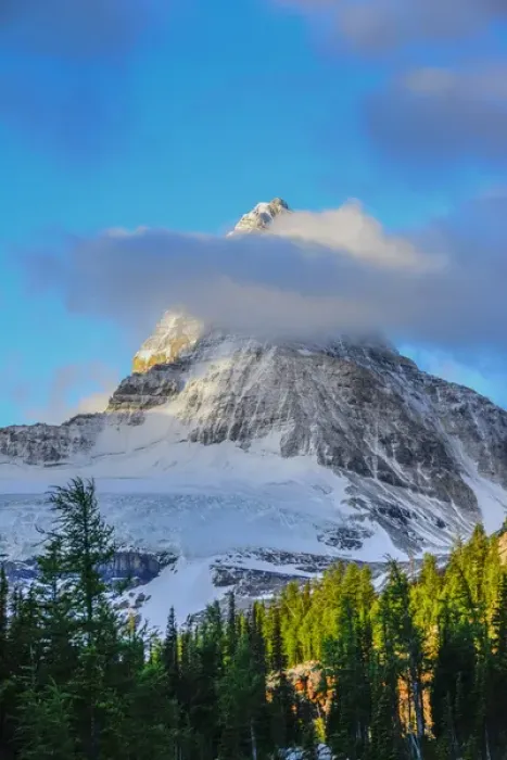 Framed Print : Mount Assiniboine seen from Sunburst Lake Framed Print : Mount Assiniboine seen from Sunburst Lake