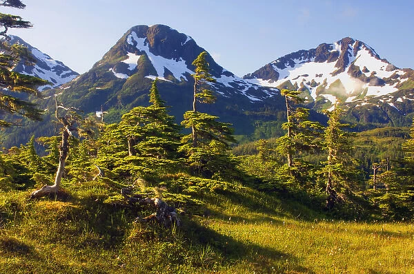 Mount Eccles Near Cordova, Alaska