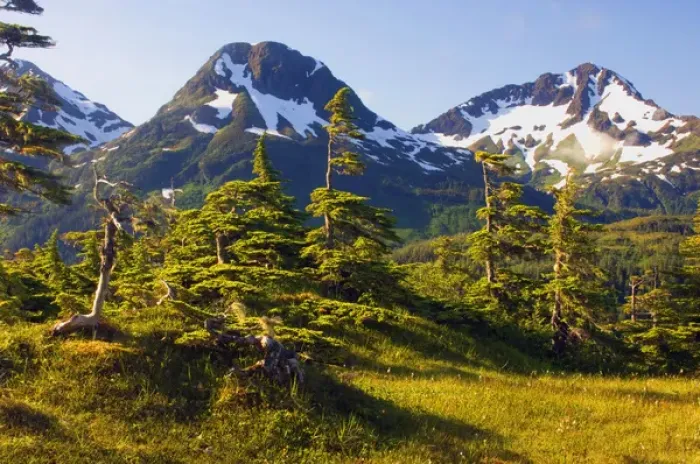 Framed Print : Mount Eccles Near Cordova, Alaska