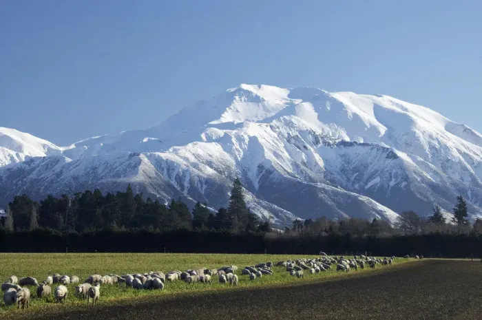 Framed Print : Mount Hutt, Mid Canterbury, South Island, New Zealand Framed Print : Mount Hutt, Mid Canterbury, South Island, New Zealand