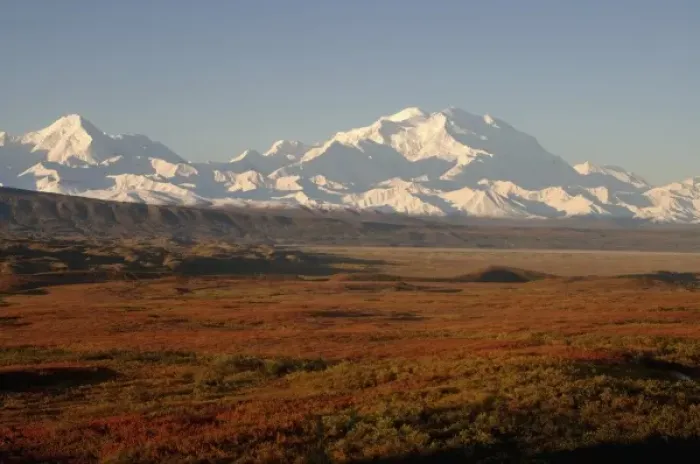 Framed Print : mount McKinley, or Mount Denali, in Denali National Park, interior of Alaska