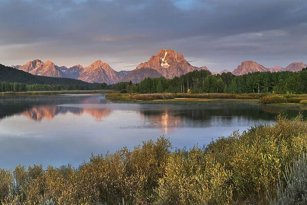 Mount Moran reflected in still waters of the Snake River at Oxbow Bend at sunrise, Grand Teton National Park, Wyoming