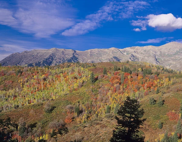 Mount Nebo Fall, Mount Nebo Scenic Byway, Uinta-Wasatch- Cache National Forest near Nephi