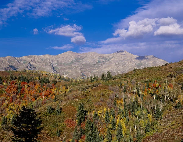 Mount Nebo Scenic Byway, Uinta-Wasatch- Cache National Forest near Nephi and Salt Lake City