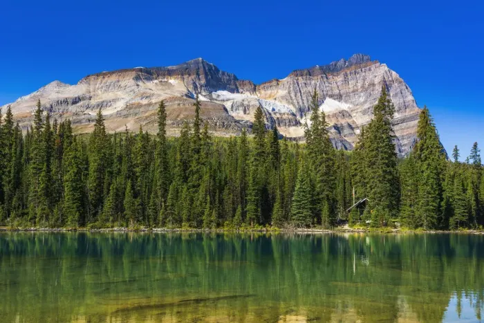 Framed Print : Mount Odaray above Lake O hara, Yoho National Park, British Columbia, Canada