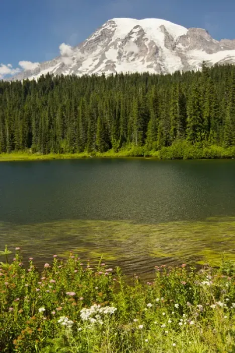 Framed Print : Mount Rainier and Reflection Lake; Mount Rainier National Park; Washington; USA Framed Print : Mount Rainier and Reflection Lake; Mount Rainier National Park; Washington; USA