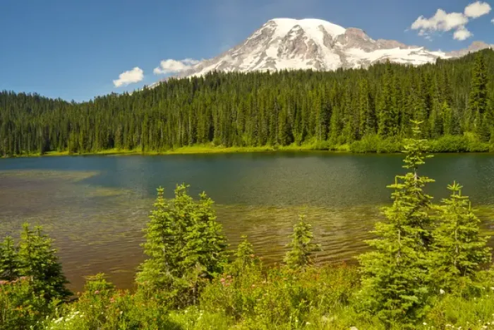 Framed Print : Mount Rainier and Reflection Lake; Mount Rainier National Park; Washington; USA Framed Print : Mount Rainier and Reflection Lake; Mount Rainier National Park; Washington; USA