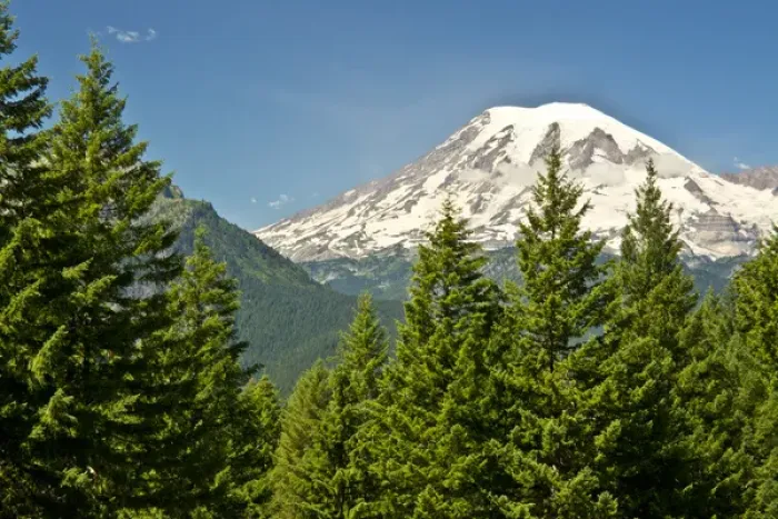 Framed Print : Mount Rainier, snow coverered, road to Paradise, Mount Rainier National Park, Washington Framed Print : Mount Rainier, snow coverered, road to Paradise, Mount Rainier National Park, Washington