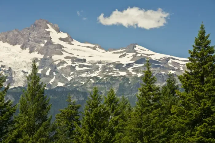 Framed Print : Mount Rainier, snow coverered, road to Paradise, Mount Rainier National Park, Washington