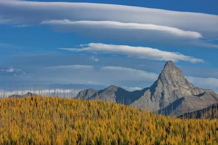 Framed Print : Mount St. Nicholas with autumn larch trees in Glacier National Park, Montana, USA Framed Print : Mount St. Nicholas with autumn larch trees in Glacier National Park, Montana, USA